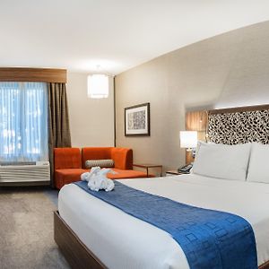 King Room Hearing Accessible or Non-Smoking